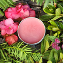 O Poder das Ervas do Miracle Balm